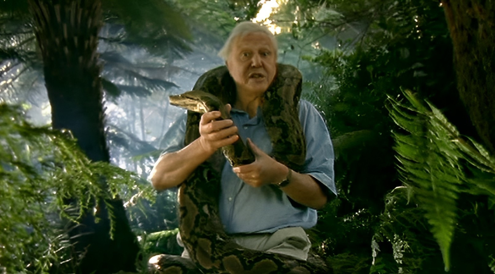 Wildlife Specials: Serpent