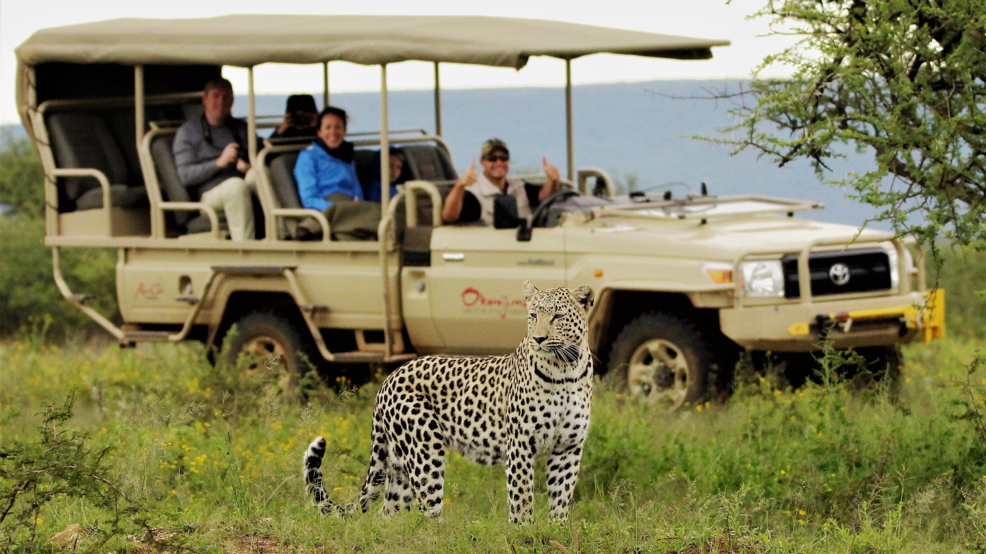 Safari: Africa