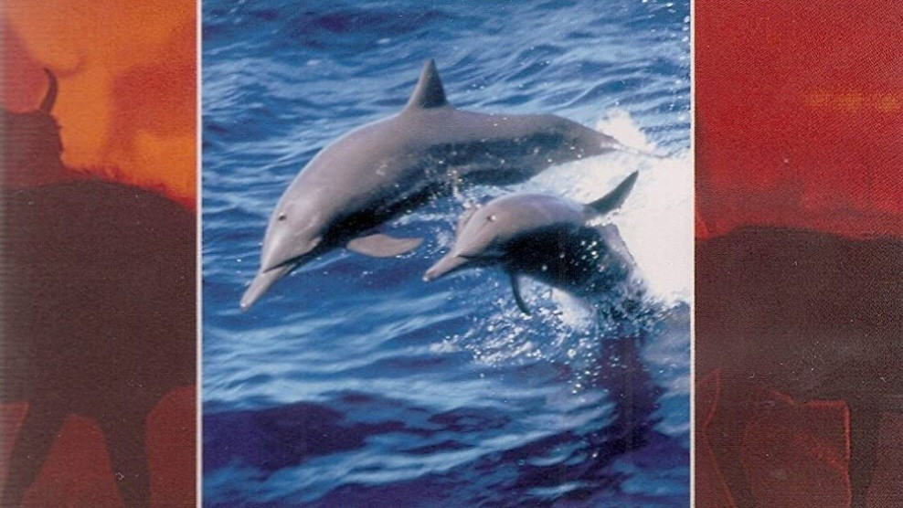 Dolphins: The Wild Side