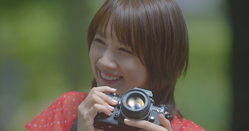 Love Like the Falling Petals